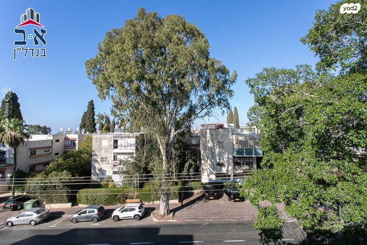 דירה, הגליל, נווה שאנן, חיפה