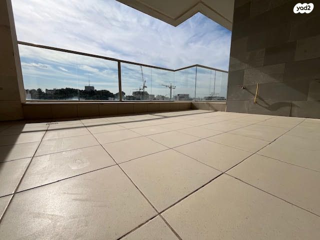 נווה דוד רמז