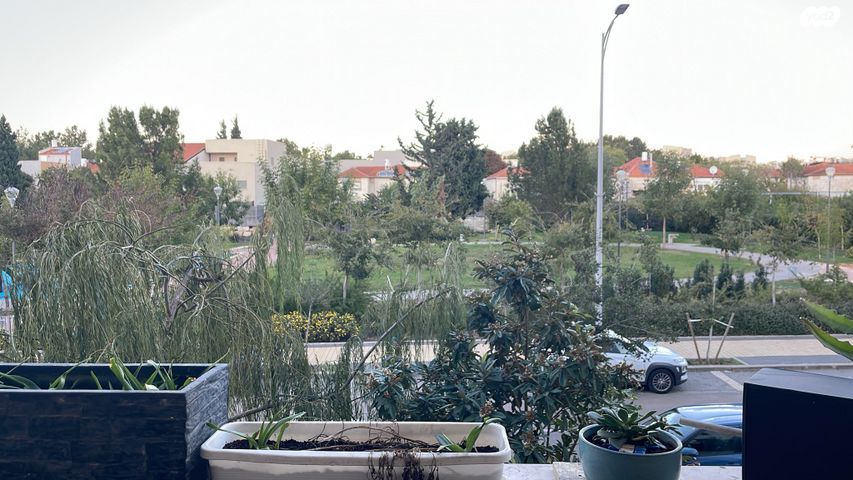 דירה, שקד, החורש, חריש