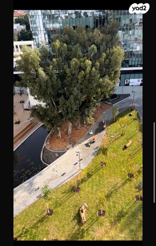 קהילת פאדובה 