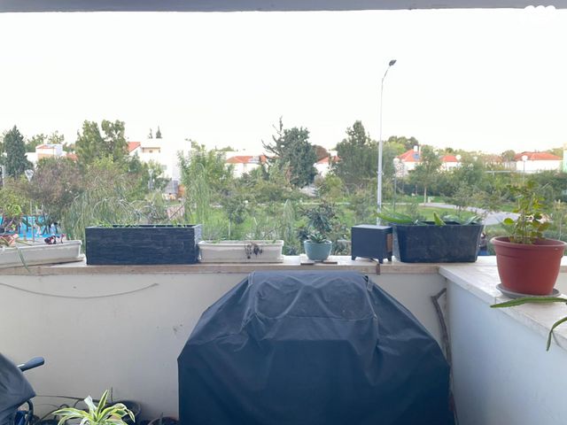 דירה, שקד, החורש, חריש