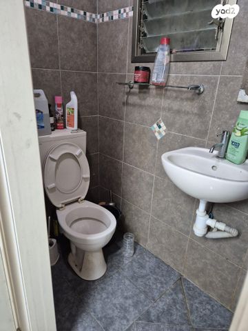 דירה, ההסתדרות, אושיות, רחובות