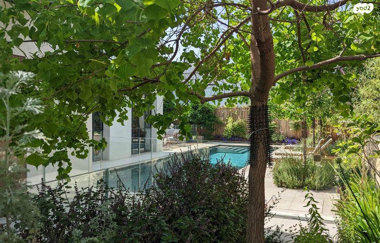 בית פרטי/ קוטג', סביון, סביון