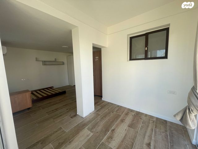 גג/ פנטהאוז, מרכז, הרצליה