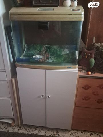 תמונת מודעה - חיות מחמד