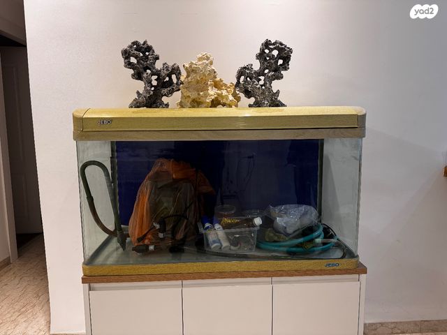 תמונת מודעה - חיות מחמד