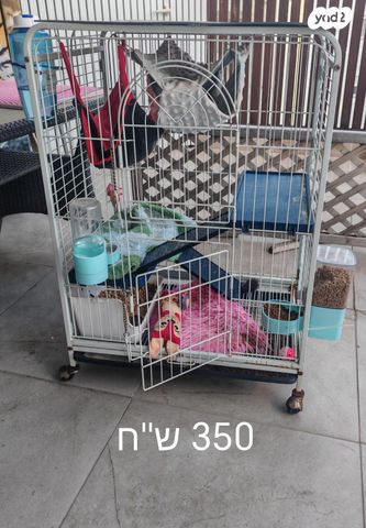 תמונת מודעה - חיות מחמד