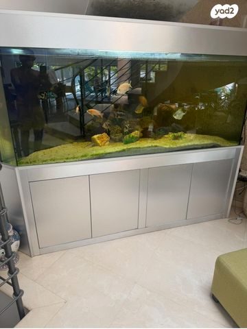 תמונת מודעה - חיות מחמד