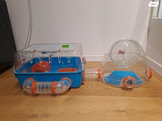 תמונת מודעה - חיות מחמד