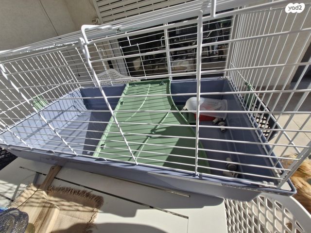 תמונת מודעה - חיות מחמד