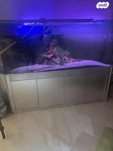 אביזרים | אקווריום