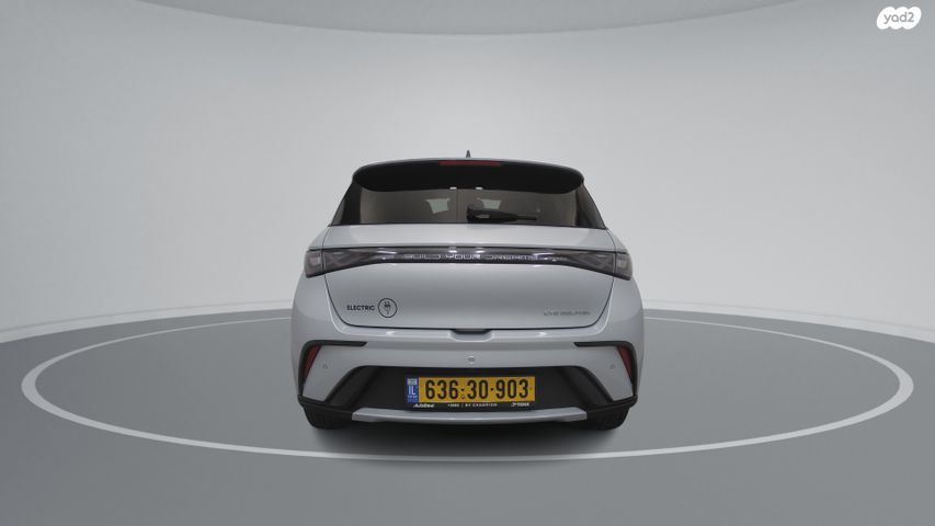 בי.ווי.די דולפין