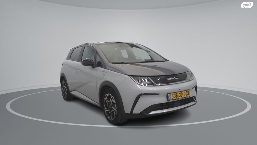 בי.ווי.די דולפין