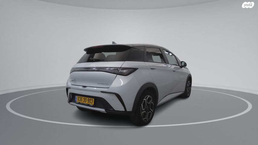 בי.ווי.די דולפין