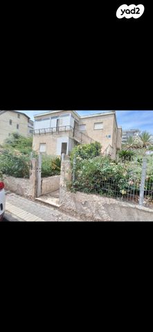 שלמה המלך 21