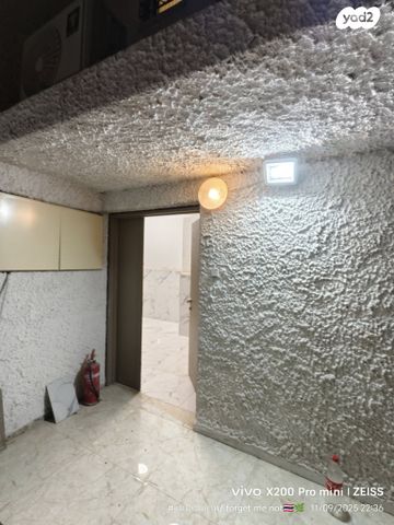 אלכסנדרוני 38