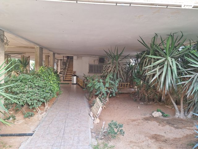 דירה, דרור 20, רמב"ם, ראשון לציון