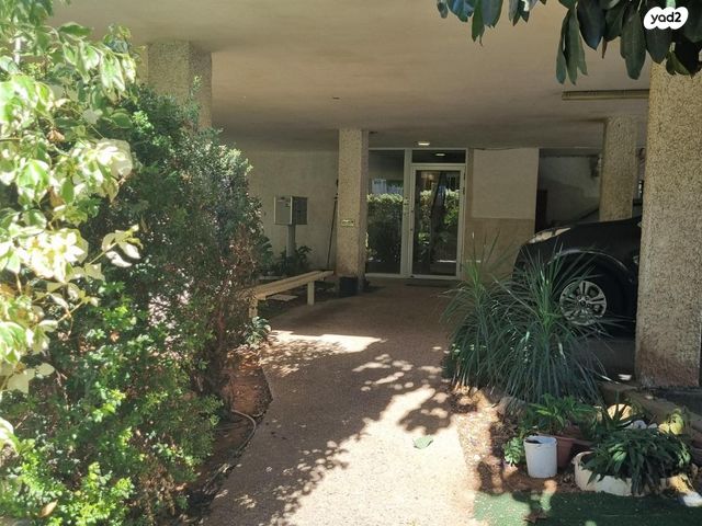 אחים קיבוביץ' 16