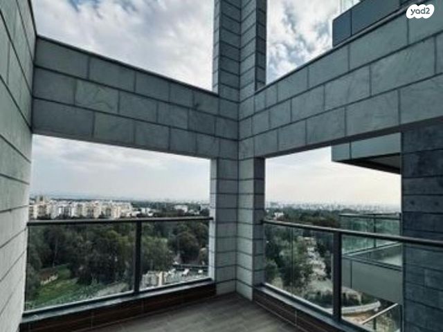 רועי קליין 10