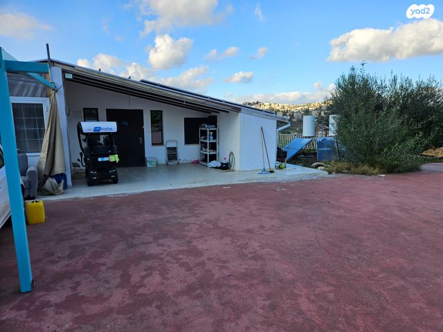 דירה, הכרמל 96, מעונה, מעונה