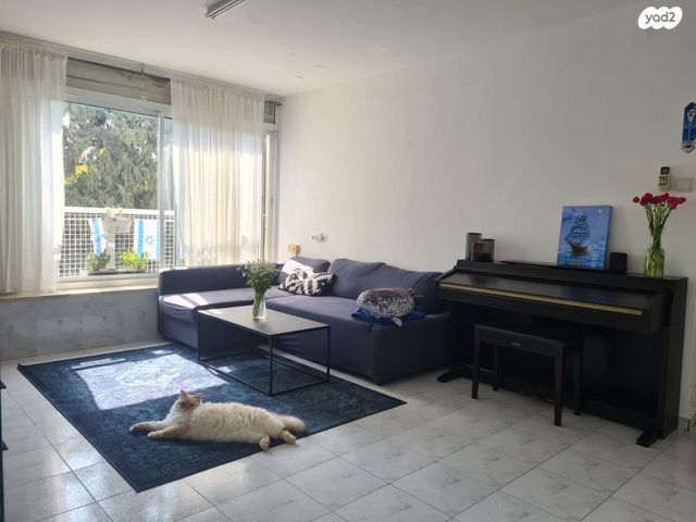 דניאל פייזר 6