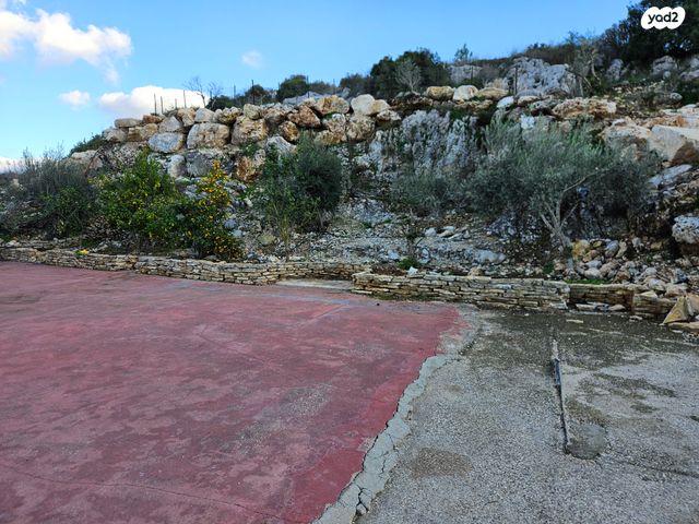 דירה, הכרמל 96, מעונה, מעונה