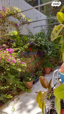 דירת גן, שלמה בן יוסף 248, ארמון הנציב, תלפיות מזרח, ירושלים