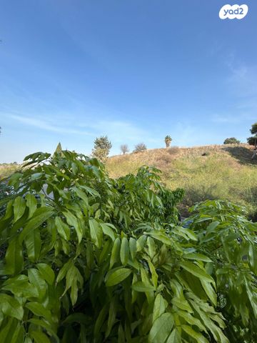 דירה, איתמר 6, חרוזים, רמת גן