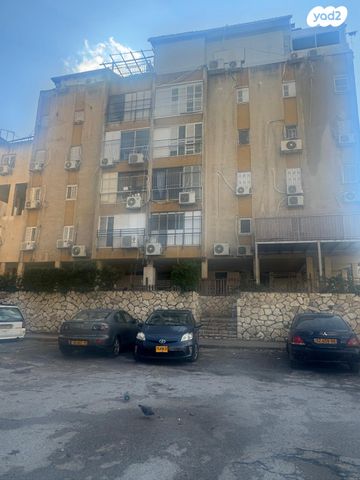 הרב נויפלד 13