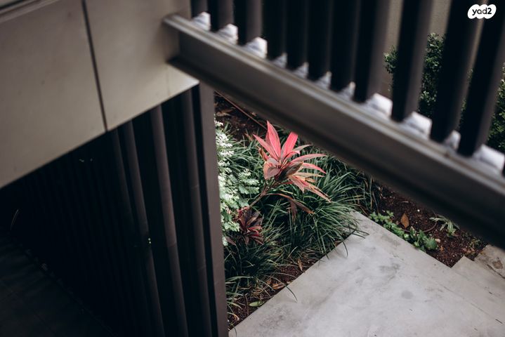 דירה, יונתן, בת גלים, חיפה