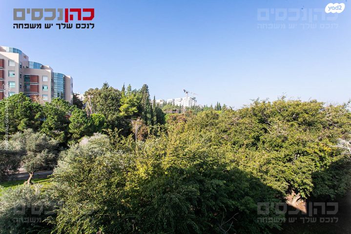 חסידי אומות העולם 