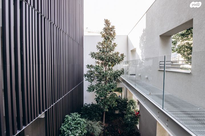 דירה, יונתן, בת גלים, חיפה