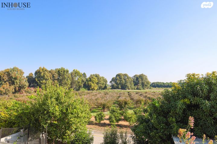 דופלקס, תל מונד