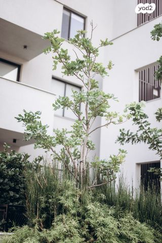 דירה, יונתן, בת גלים, חיפה