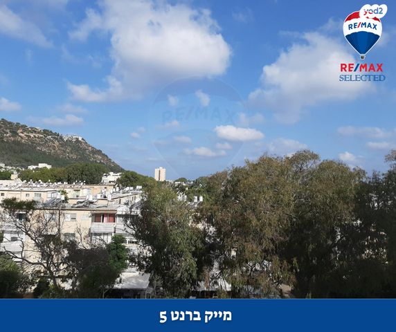 דירה, מייק בראנט, קרית אליעזר, חיפה