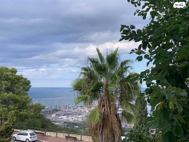 דירה, הגליל, נווה שאנן, חיפה