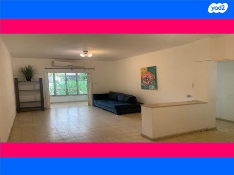 דוד וולפסון 