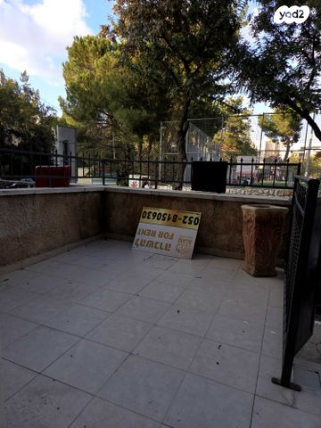 דירה, ציפורה, ירושלים