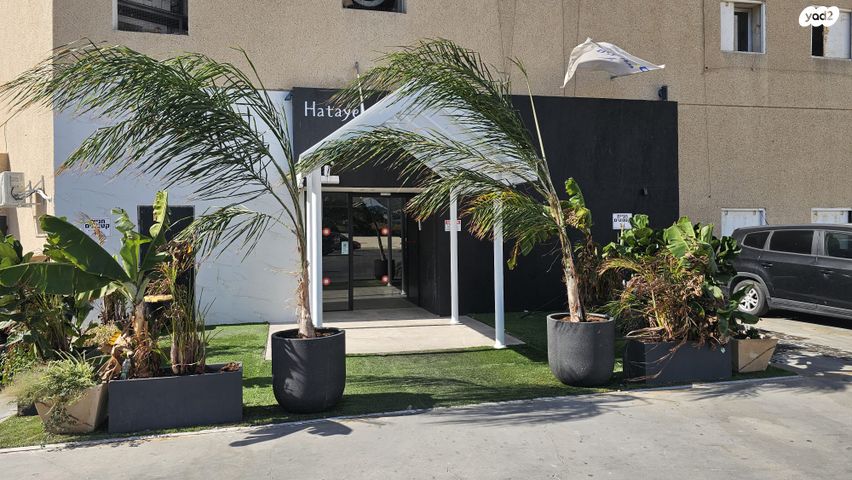 דירה, הטיילת, אשדוד