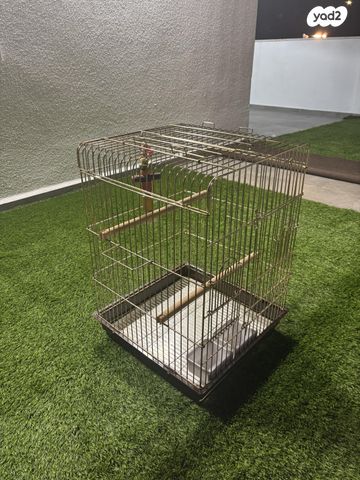 תמונת מודעה - חיות מחמד