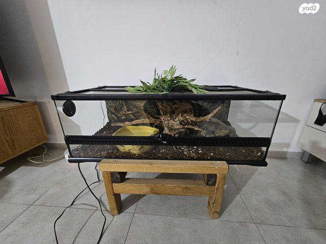 תמונת מודעה - חיות מחמד