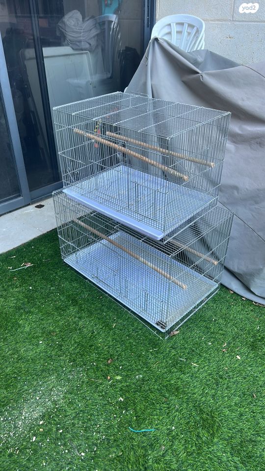 תמונת מודעה - חיות מחמד