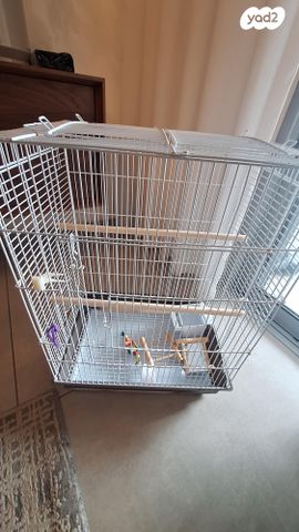 תמונת מודעה - חיות מחמד