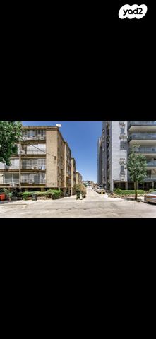 צבי הירשפלד 14