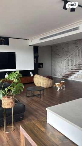 חיים בר לב 19