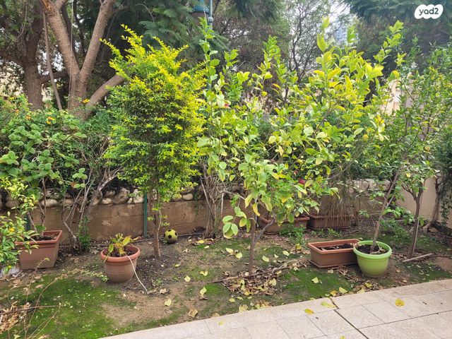 בית פרטי/ קוטג', קויפמן 16, שכונה ה', באר שבע