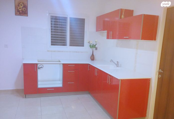 החשמונאים 24