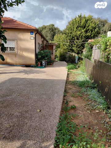 שמעון דובנוב 9