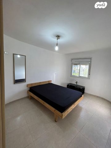 דן פטנקין 25