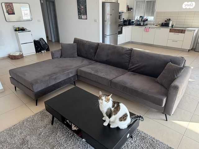 דירה, החרוב 5, שאר העיר, טירת כרמל